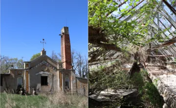 Pomôžte oživiť historické skleníky v Zámockej záhrade, kedysi sa tam pestovali ananásy. Hlohovec hľadá dobrovoľníkov