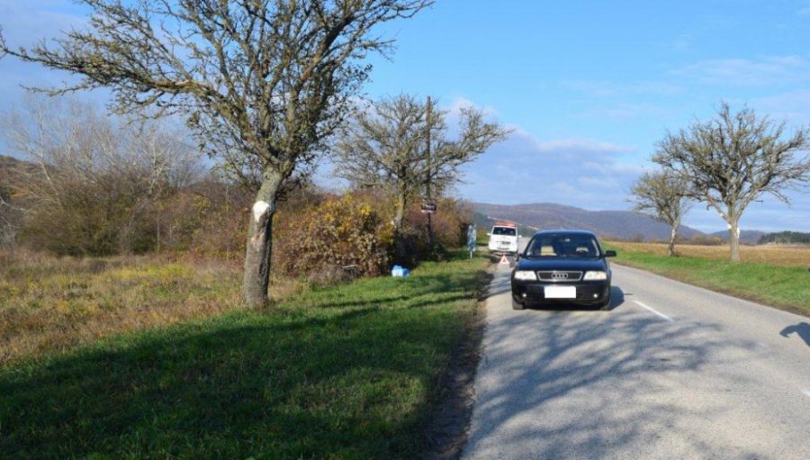 Zrážka osobného auta Audi A6 s chodcom, vodičovi zadržali vodičský preukaz, foto 4