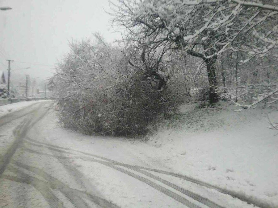 Snehová kalamita zasiahla celé Slovensko, doprava trpí hlavne v Bratislavskom a Trnavskom kraji, foto 5