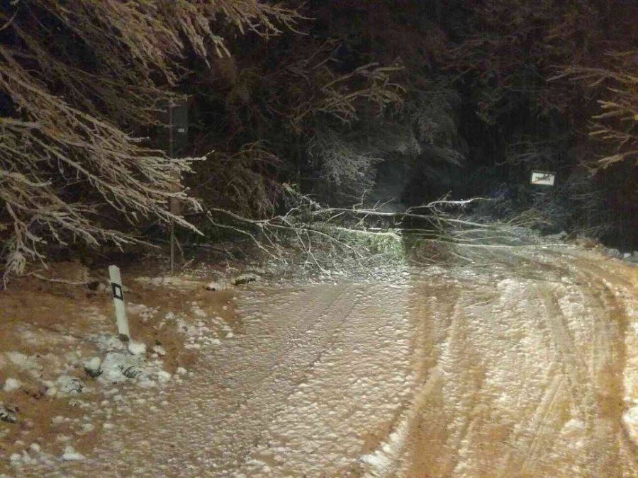 Snehová kalamita zasiahla celé Slovensko, doprava trpí hlavne v Bratislavskom a Trnavskom kraji, foto 17