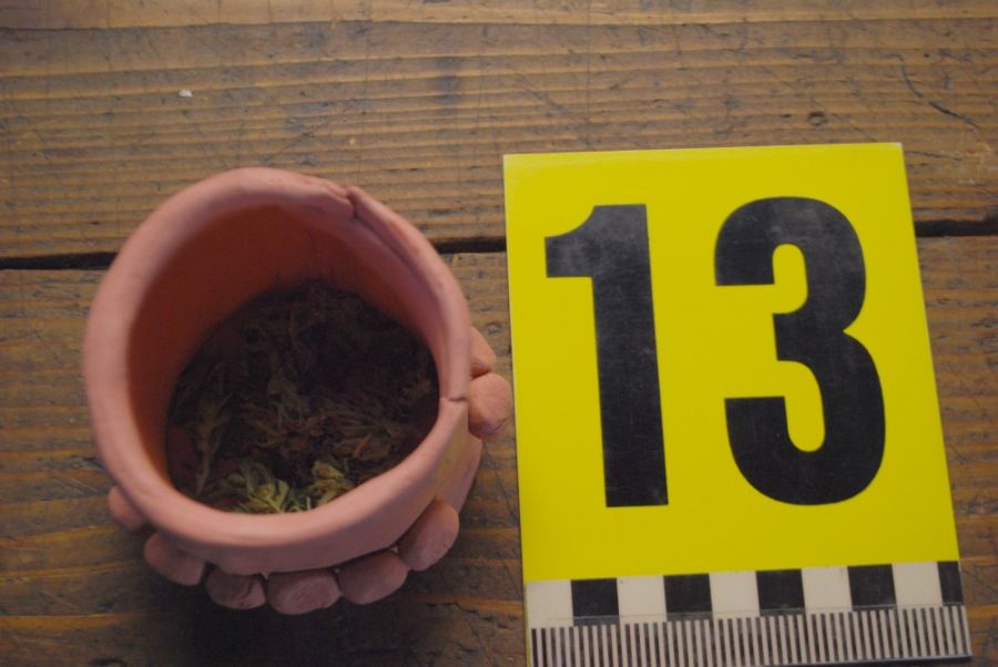 Polícia našla drogy v Jalšovom, pri prehliadke zaistili metamfetamín a konope v hodnote cez 2 tisíc, foto 9