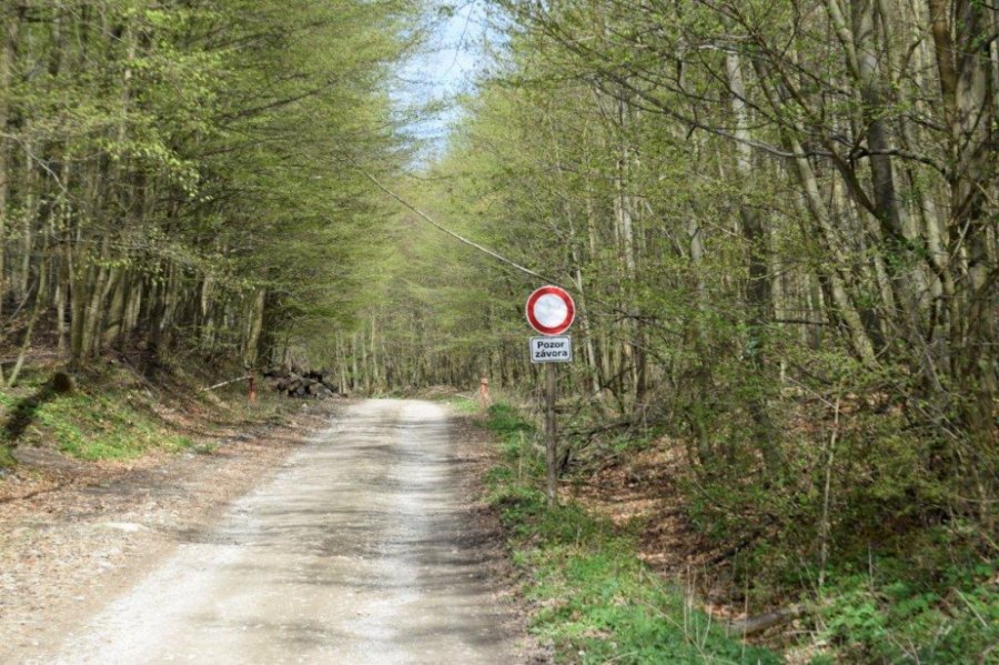 V CKO sú motorky a autá zakázané, trnavskí policajti v Malých Karpatoch zadržali až 10 vodičov, foto 7