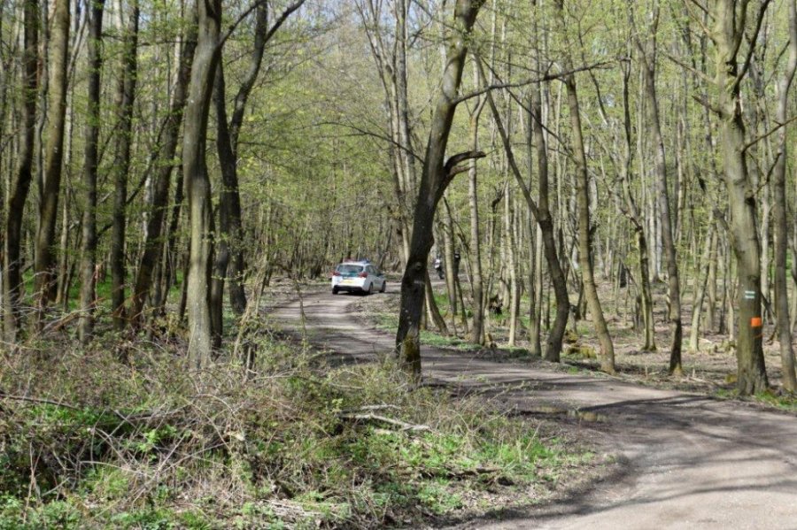 V CKO sú motorky a autá zakázané, trnavskí policajti v Malých Karpatoch zadržali až 10 vodičov, foto 8
