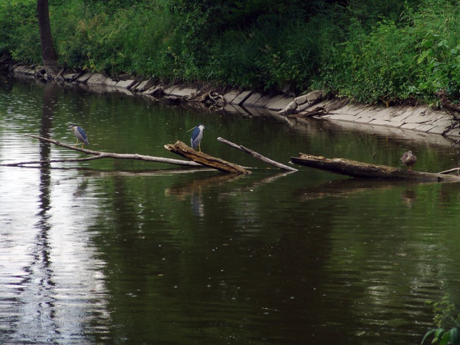 V Kamennom mlyne pribudol nový náučný chodník s unikátnymi informačnými tabuľami, foto 6