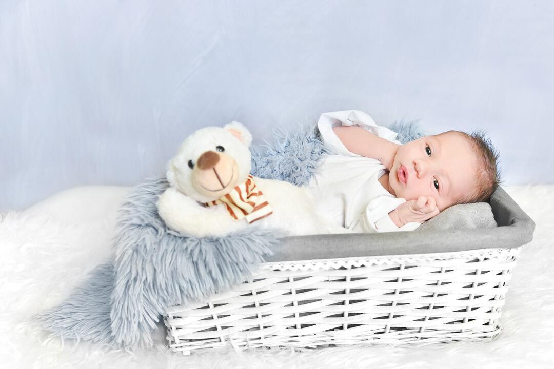 FOTO: Fakultná nemocnica v Trnave odfotí vaše bábätká, foto 7