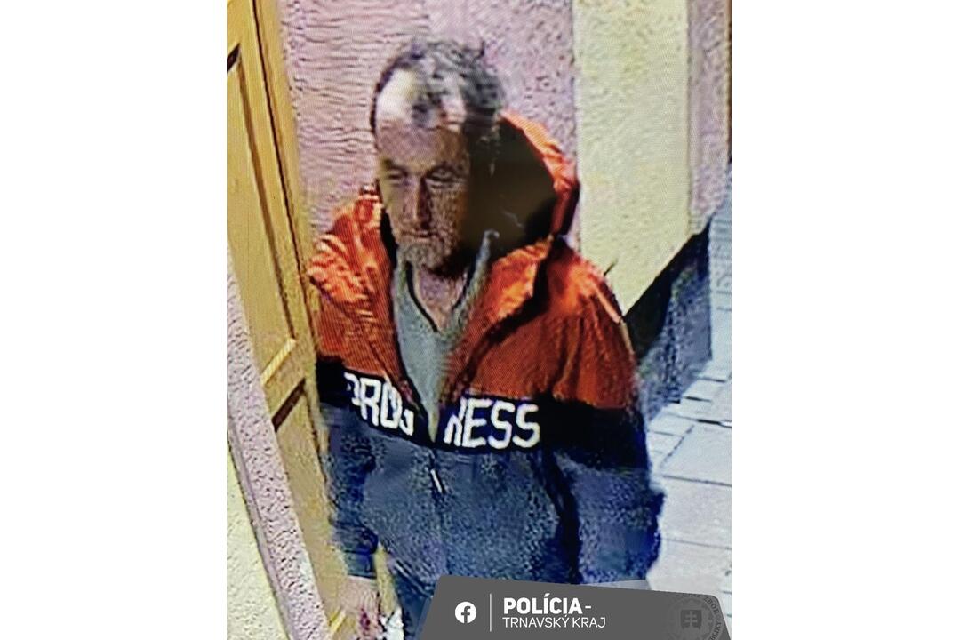 FOTO: Polícia hľadá muža, ktorý rozbil dvere na železničnej stanici Šaštín-Stráže, foto 3