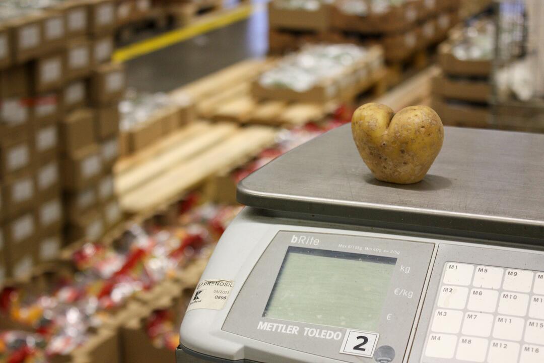 FOTO: Odkiaľ prichádzajú vaše potraviny? Navštívili sme centrálny sklad Kauflandu, foto 1