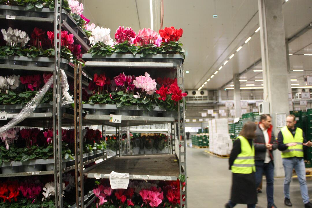 FOTO: Odkiaľ prichádzajú vaše potraviny? Navštívili sme centrálny sklad Kauflandu, foto 2