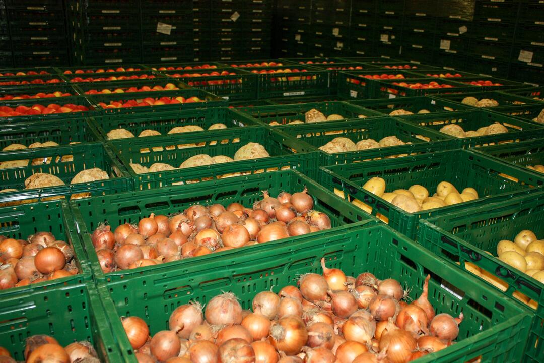 FOTO: Odkiaľ prichádzajú vaše potraviny? Navštívili sme centrálny sklad Kauflandu, foto 12