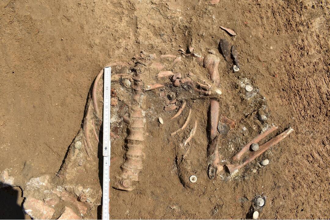 FOTO: V Senici našli ostatky vojaka z Tretej ríše, foto 6