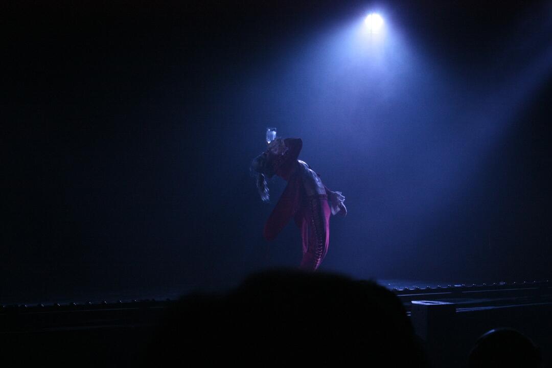 FOTO: Ján Ďurovčík mal v Trnave premiéru moderného baletu Amadeus, foto 22