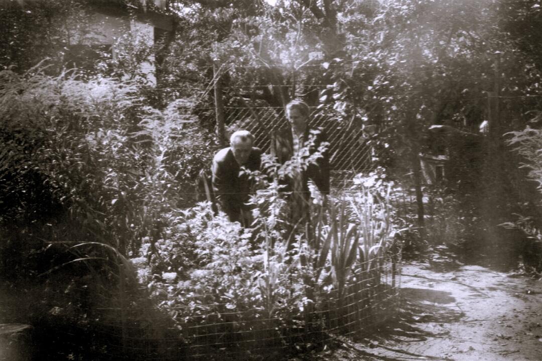 FOTO: Ako žili obyvatelia historickej Trnavy?, foto 7