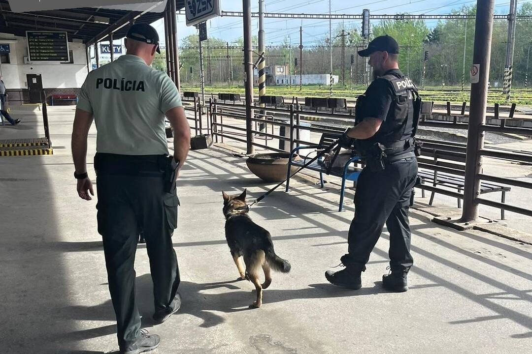 FOTO: Medzinárodná kontrola železníc započala aj v Trnavskom kraji, foto 3