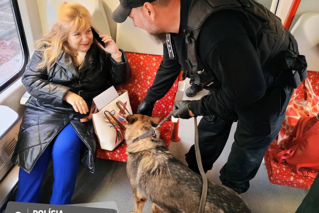 FOTO: Medzinárodná kontrola železníc započala aj v Trnavskom kraji, foto 4