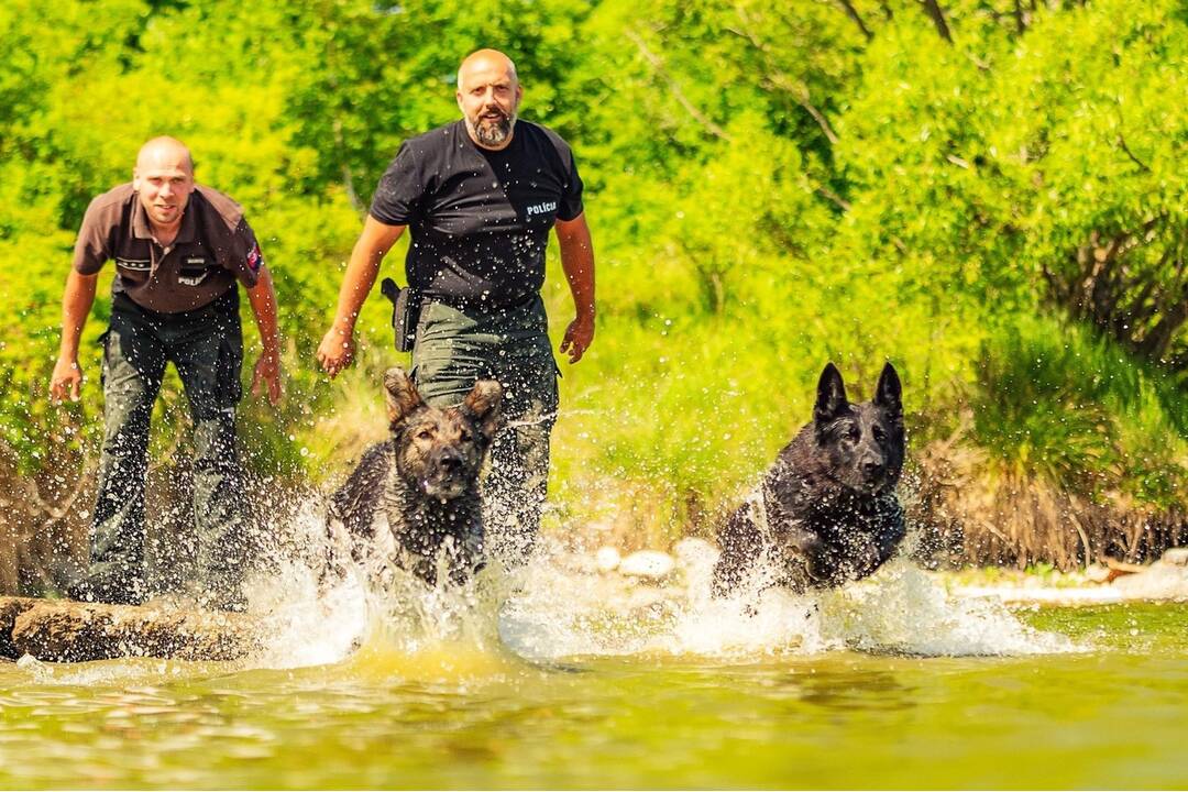 FOTO: Policajný zbor kúpi od chovateľov psy do výkonu služby, foto 4