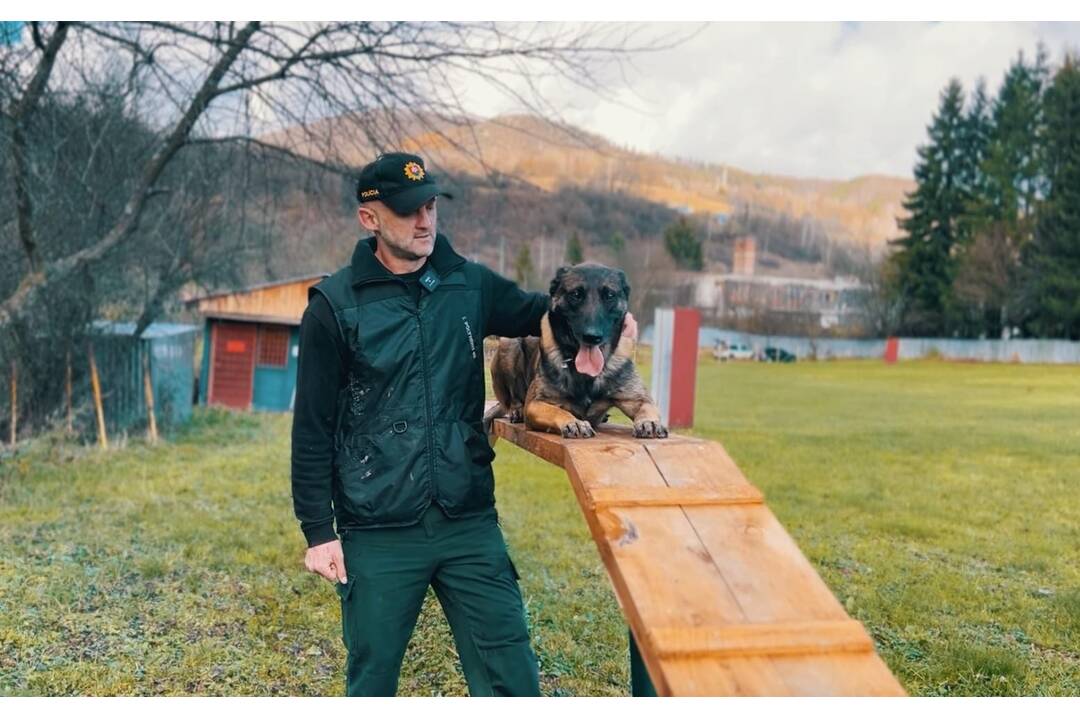 FOTO: Policajný zbor kúpi od chovateľov psy do výkonu služby, foto 5