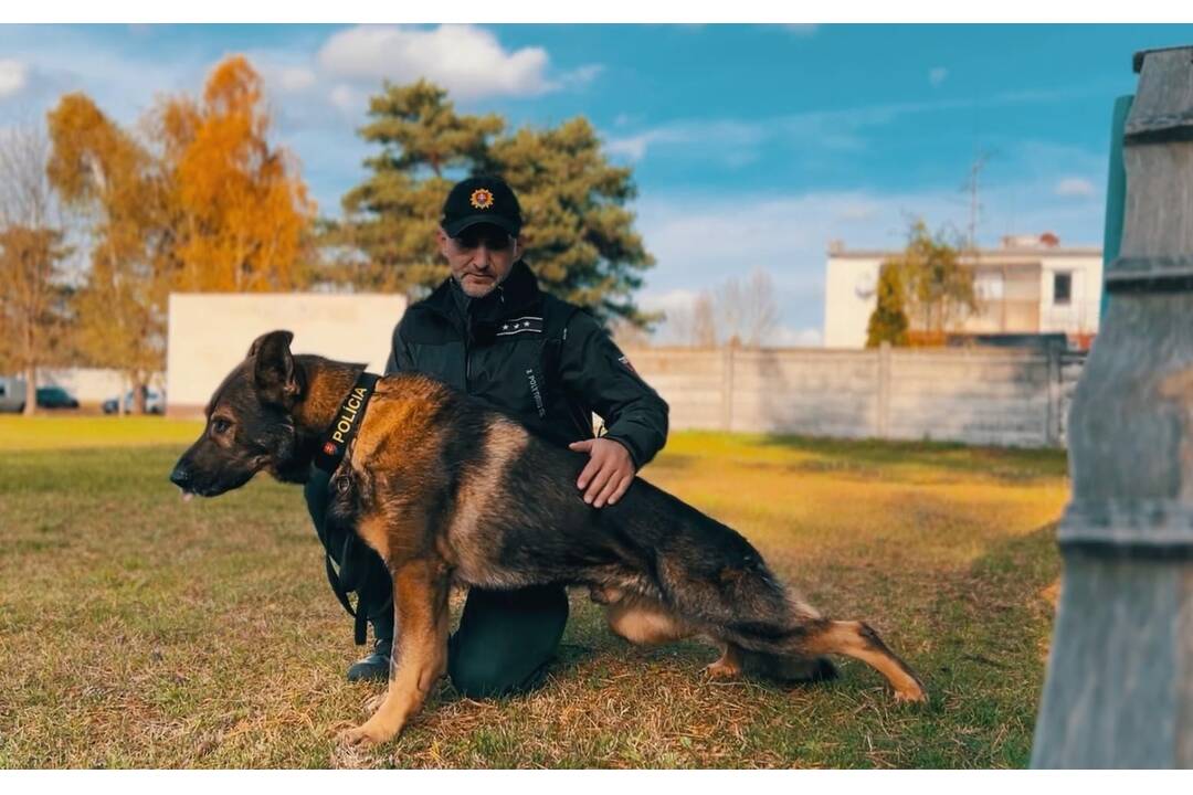 FOTO: Policajný zbor kúpi od chovateľov psy do výkonu služby, foto 7