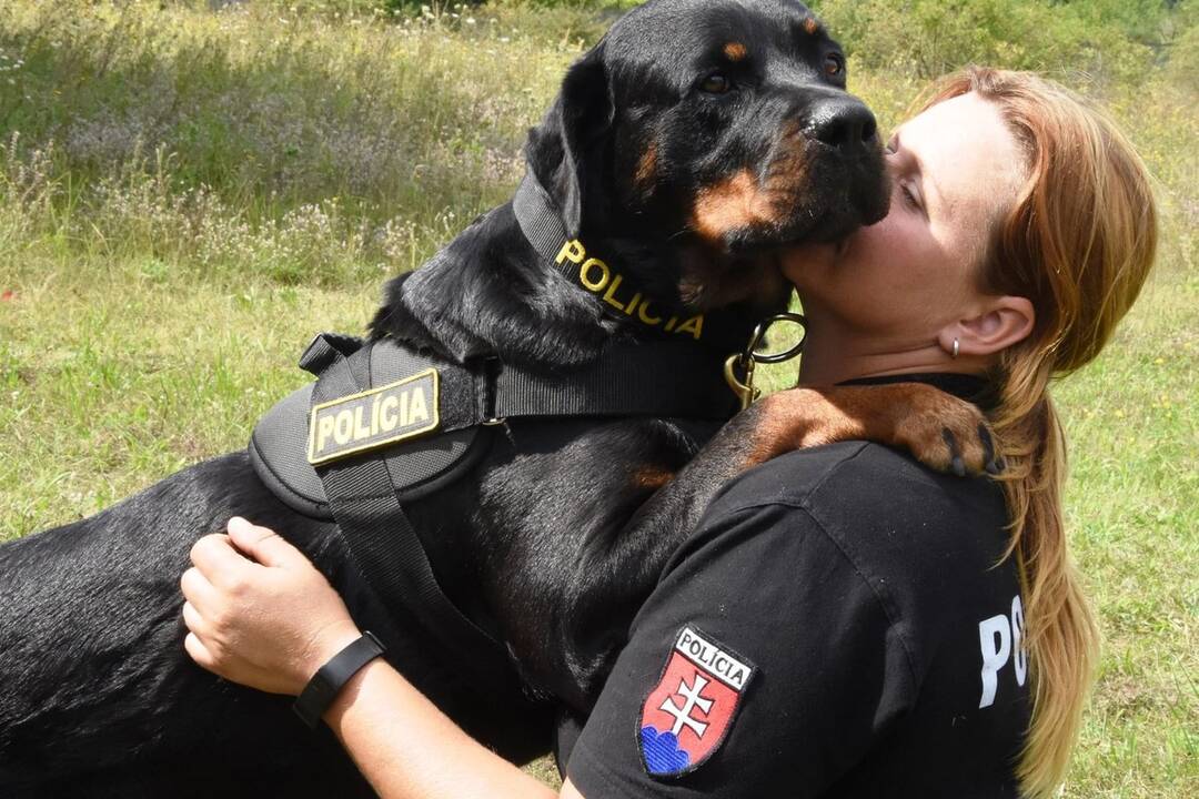 FOTO: Policajný zbor kúpi od chovateľov psy do výkonu služby, foto 10