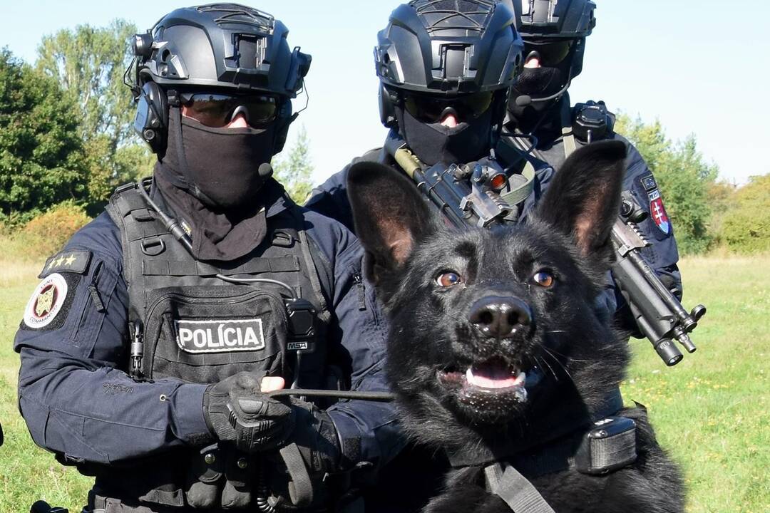 FOTO: Policajný zbor kúpi od chovateľov psy do výkonu služby, foto 11