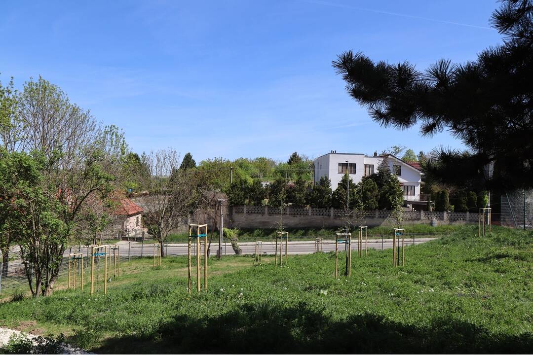 FOTO: ZŠ s MŠ v Hlohovci investuje do boja proti klimatickým zmenám, foto 3