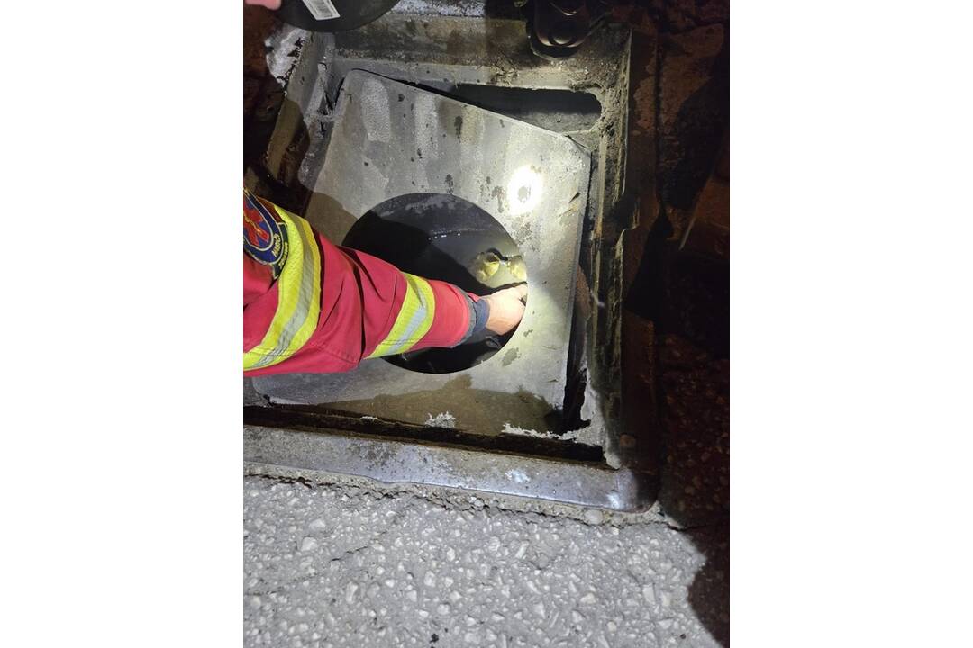 FOTO: Hasiči zachránili kačaciu rodinku, ktorá uviazla v kanalizačnej vpusti, foto 2