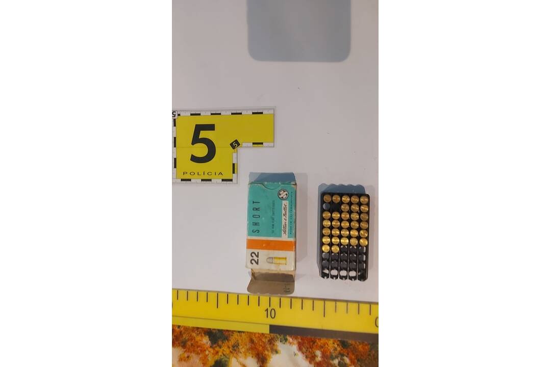 FOTO: Pri domovej prehliadke našli u 27-ročného muža zbrane, náboje a pervitín, foto 5
