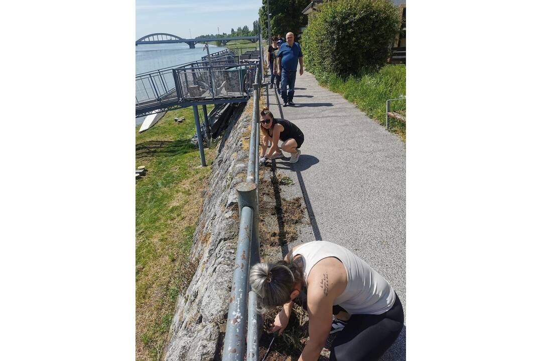 FOTO: Aktívni Piešťanci vyčistili nábrežie od buriny, foto 4