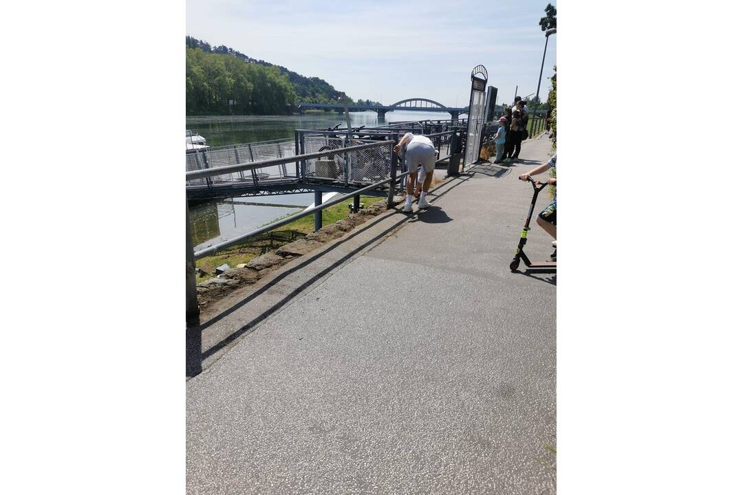 FOTO: Aktívni Piešťanci vyčistili nábrežie od buriny, foto 5