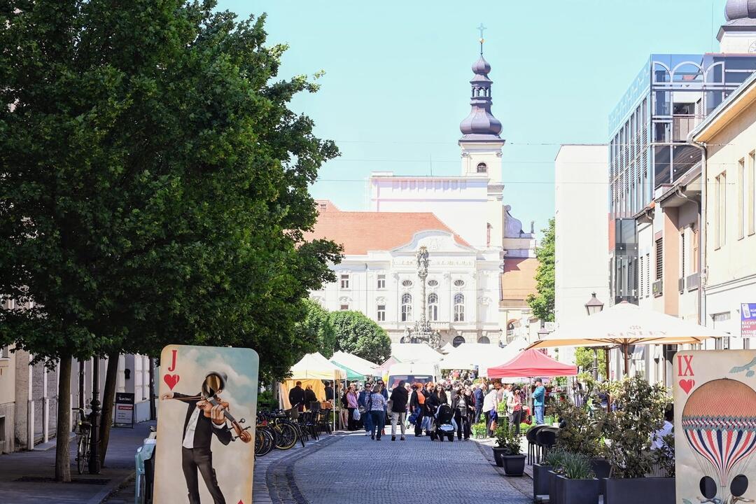 FOTO: Májový kvet 2024, foto 2