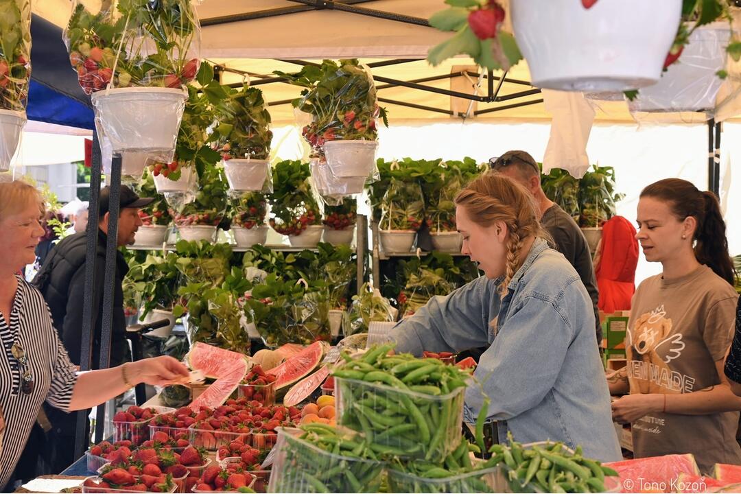 FOTO: Májový kvet 2024, foto 6