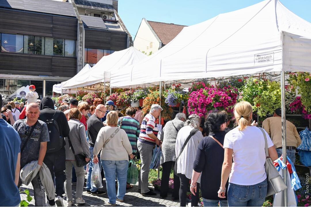 FOTO: Májový kvet 2024, foto 8