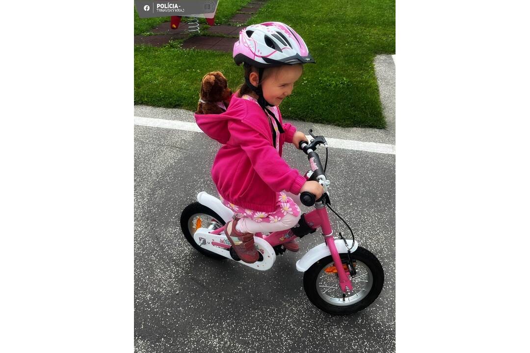 FOTO: Medvedík – pomocník Policajného zboru, foto 2