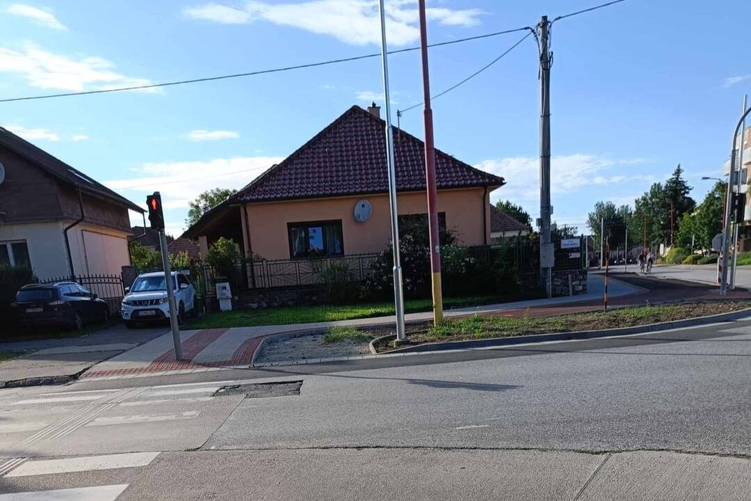 FOTO: Strom uprostred cyklochodníka, foto 3