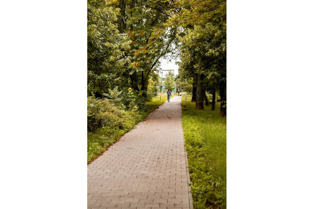 FOTO: Zrekonštruované chodníky v Trnave, foto 4