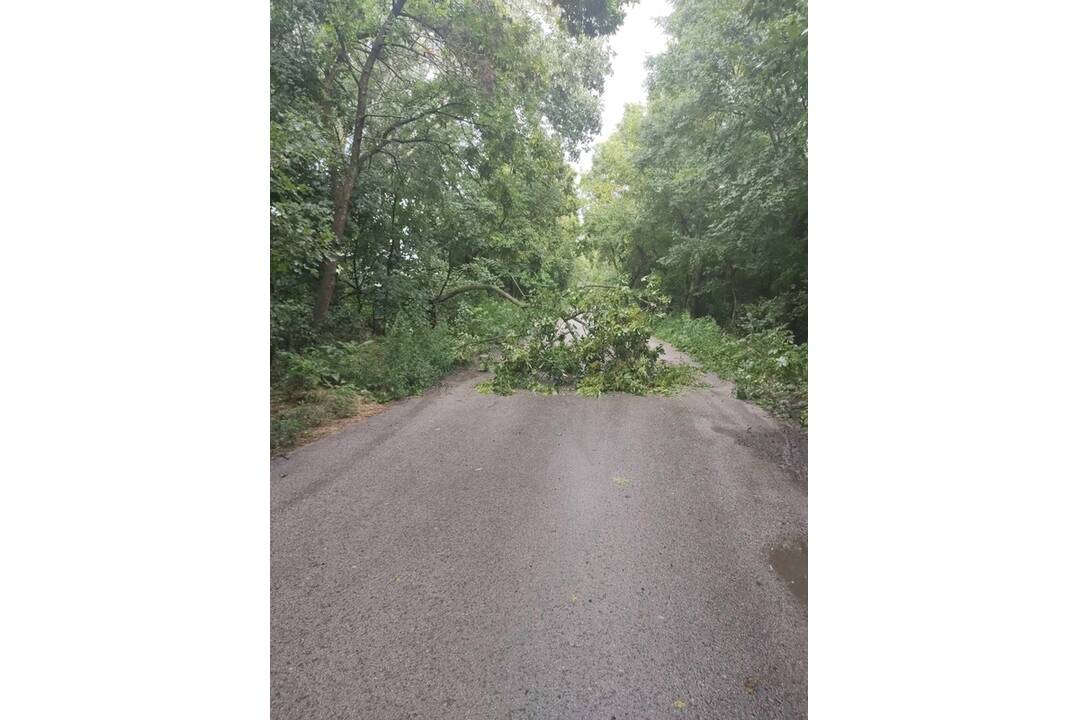 FOTO: Zásah hasičov po búrkach, foto 3