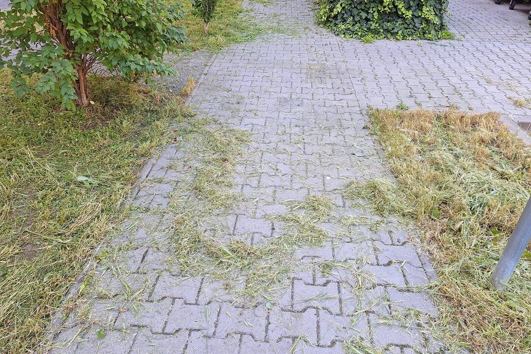 FOTO: Pokosené ale neupratané v Piešťanoch, foto 1