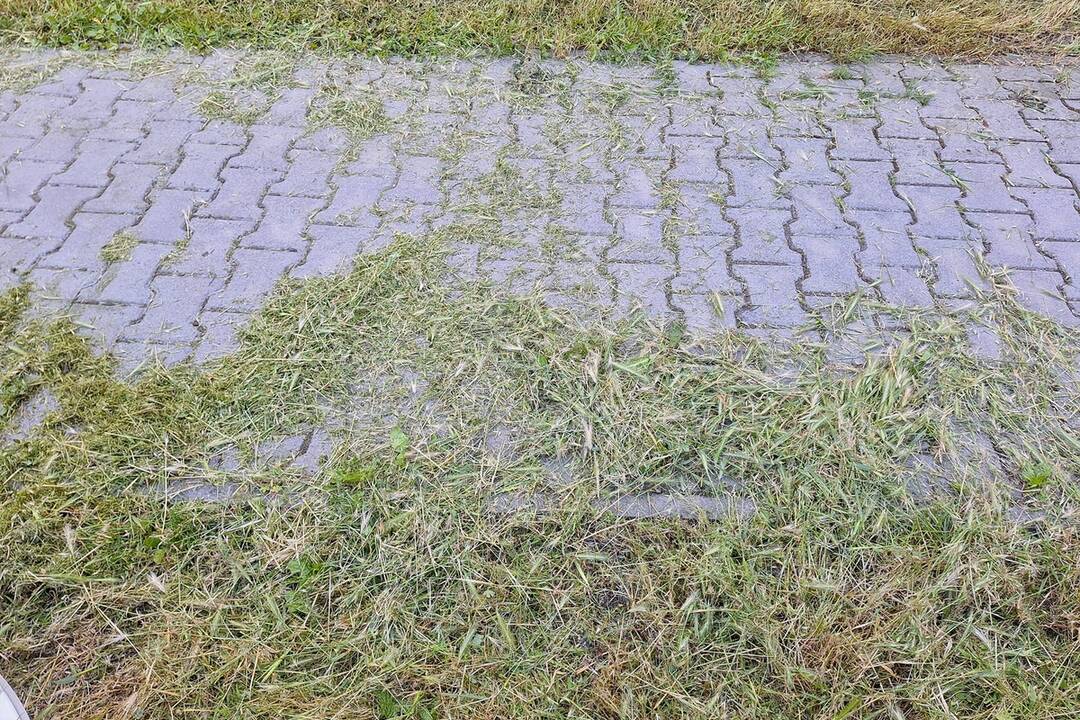 FOTO: Pokosené ale neupratané v Piešťanoch, foto 2