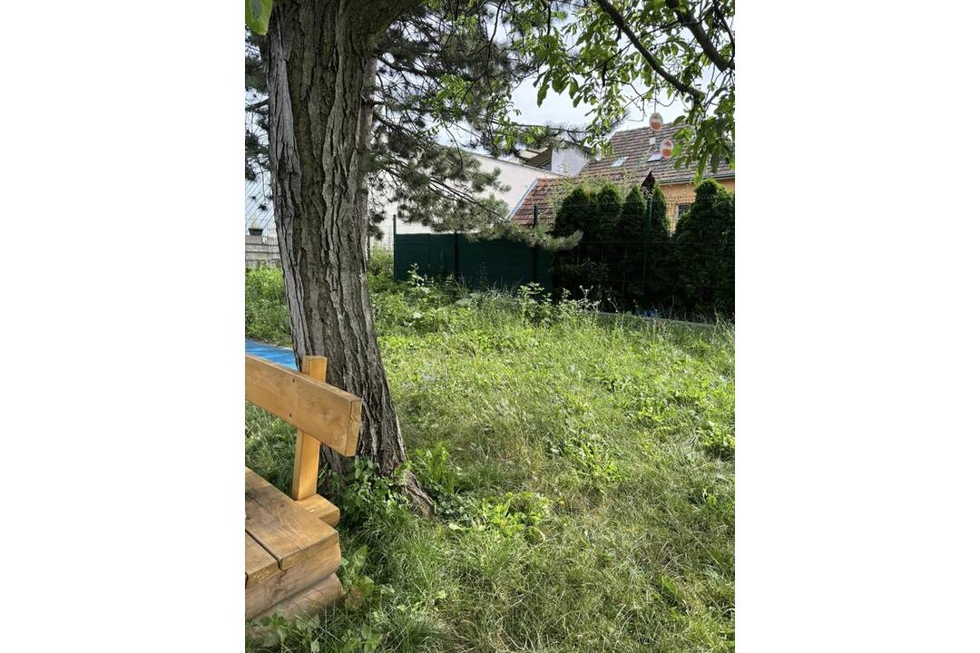 FOTO: Zarastené ihrisko Inčučina v Piešťanoch, foto 2