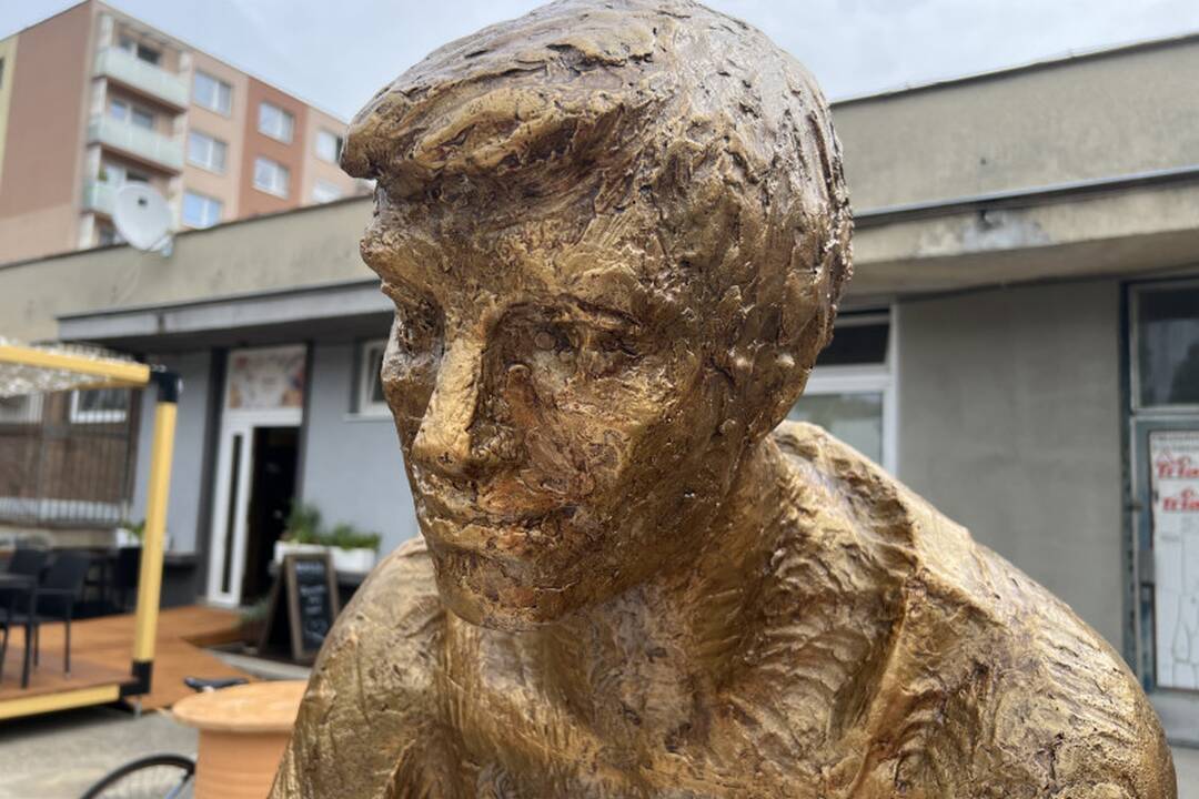 FOTO: Zrekonštruované súsošie sediacej rodiny „na vŕšku“, foto 6