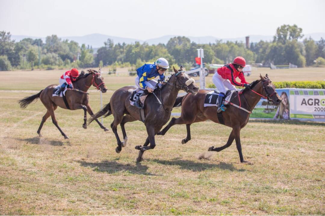 FOTO: Takto vyzerali víkendové dostihy v mestskej časti mestskej časti Senice - Čáčov, foto 5