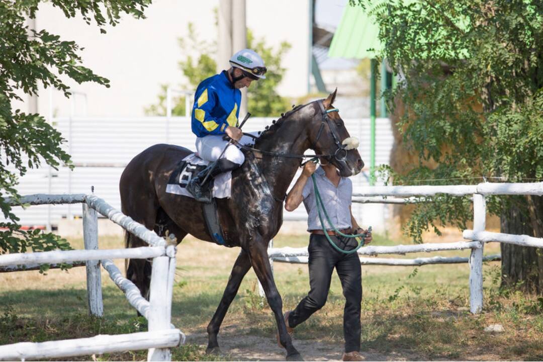 FOTO: Takto vyzerali víkendové dostihy v mestskej časti mestskej časti Senice - Čáčov, foto 4