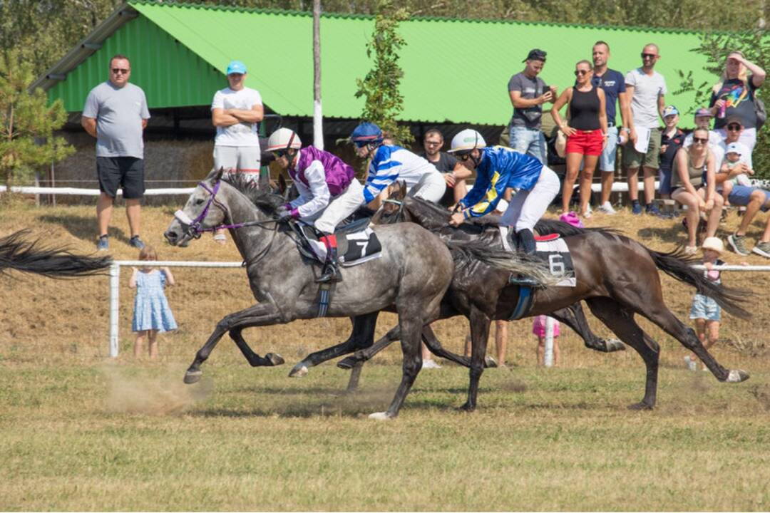 FOTO: Takto vyzerali víkendové dostihy v mestskej časti mestskej časti Senice - Čáčov, foto 7