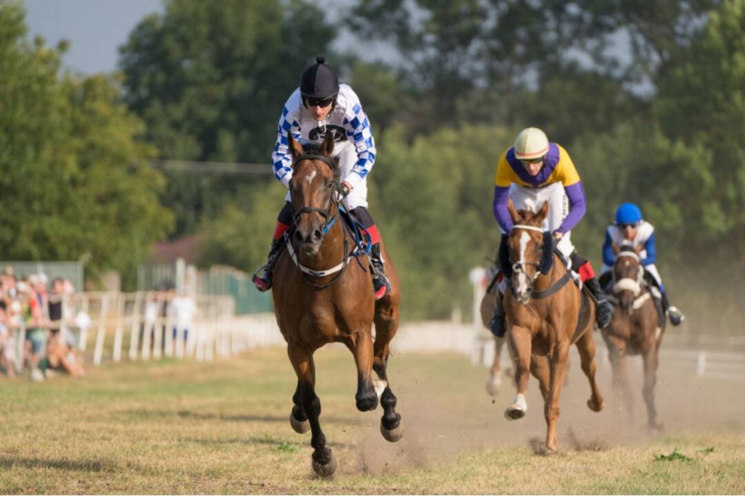 FOTO: Takto vyzerali víkendové dostihy v mestskej časti mestskej časti Senice - Čáčov, foto 11