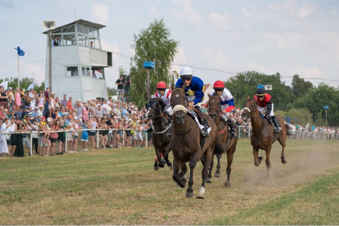 FOTO: Takto vyzerali víkendové dostihy v mestskej časti mestskej časti Senice - Čáčov, foto 8