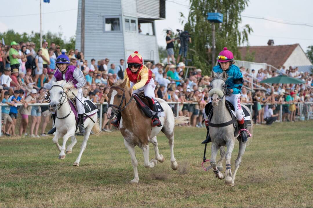 FOTO: Takto vyzerali víkendové dostihy v mestskej časti mestskej časti Senice - Čáčov, foto 13