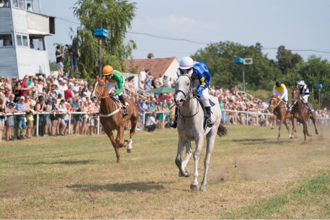 FOTO: Takto vyzerali víkendové dostihy v mestskej časti mestskej časti Senice - Čáčov, foto 14