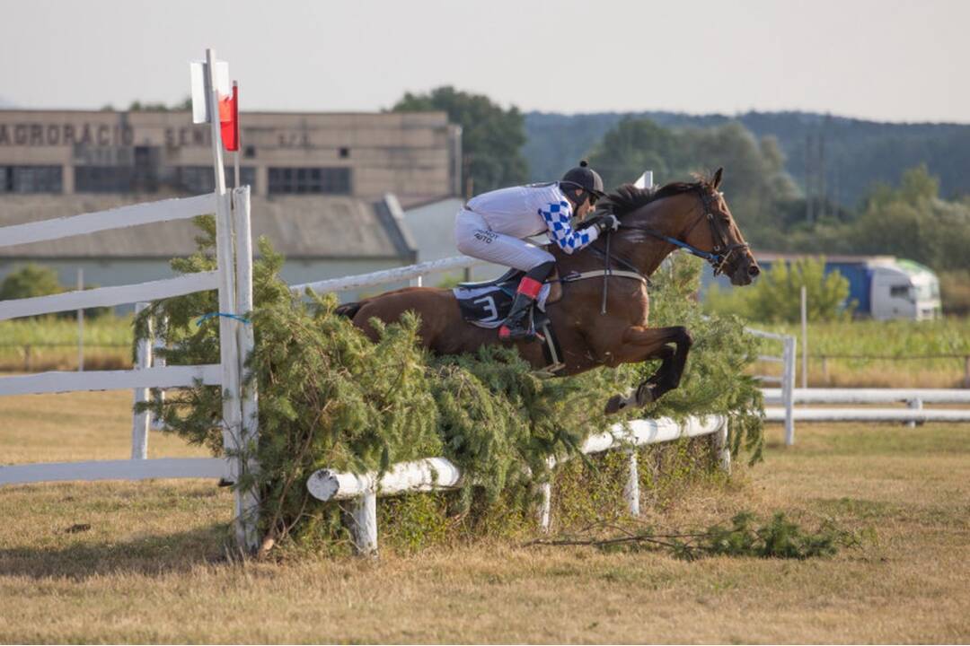 FOTO: Takto vyzerali víkendové dostihy v mestskej časti mestskej časti Senice - Čáčov, foto 15