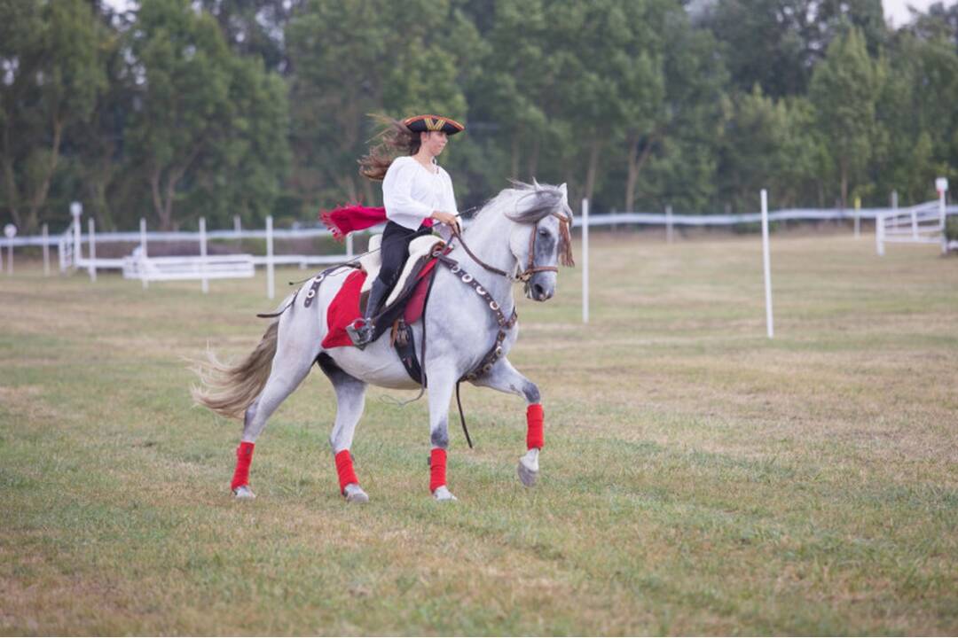 FOTO: Takto vyzerali víkendové dostihy v mestskej časti mestskej časti Senice - Čáčov, foto 2