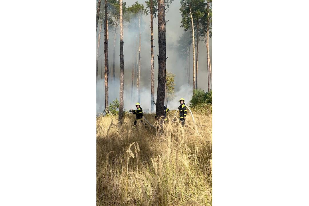 FOTO: Na Záhorí vypukol rozsiahly lesný požiar, foto 2