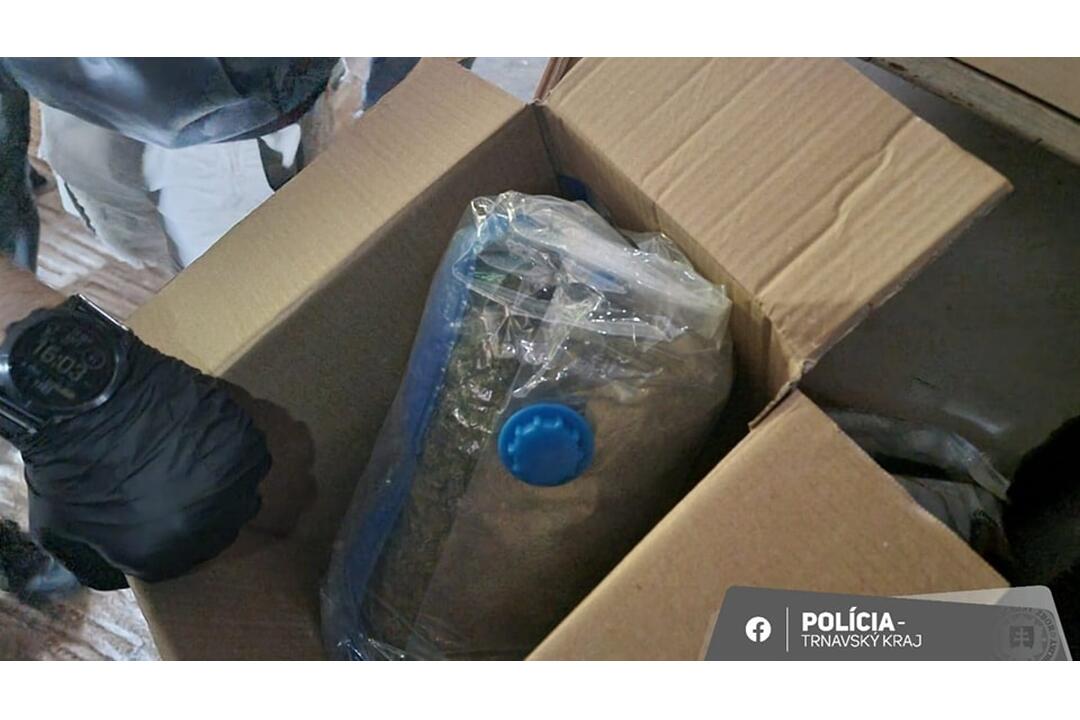 FOTO: Akcia Desperado bola úspešná. Muži obchodovali s marihuanou, zadržali ich trnavskí policajti, foto 2